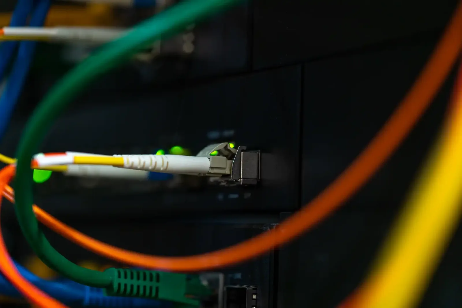 Network patch cables plugged into a switch